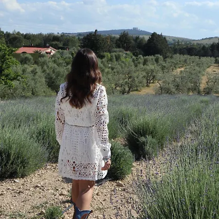 Di Monte & Bed & Breakfast Castel Del Monte (Apulia)